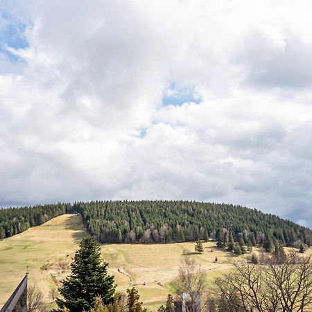 Haus Bergruh Kuckucksnest Lägenhet Todtnauberg Exteriör bild